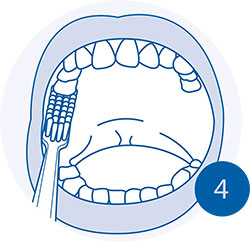 Правильная чистка зубов