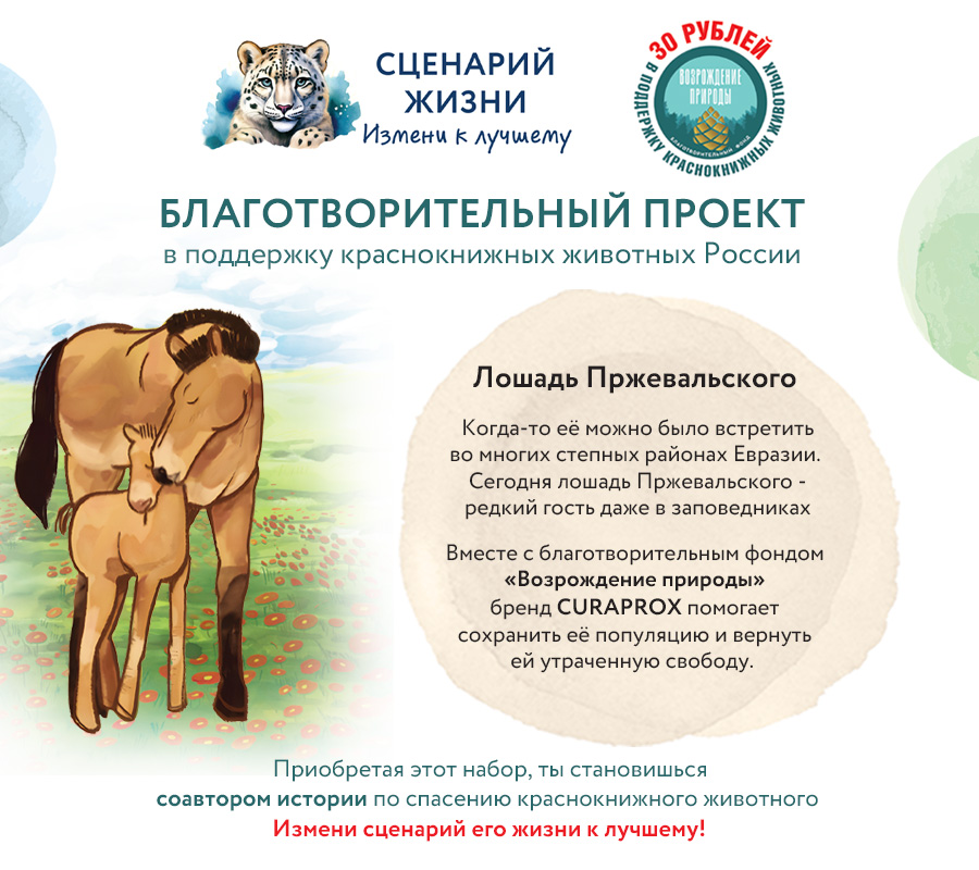 Набор Краснокнижные животные "Лошадь Пржевальского"