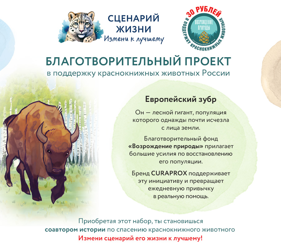 Набор Краснокнижные животные "Европейский зубр"