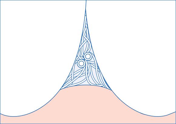Правильно подобранный межзубный ершик играет важную роль